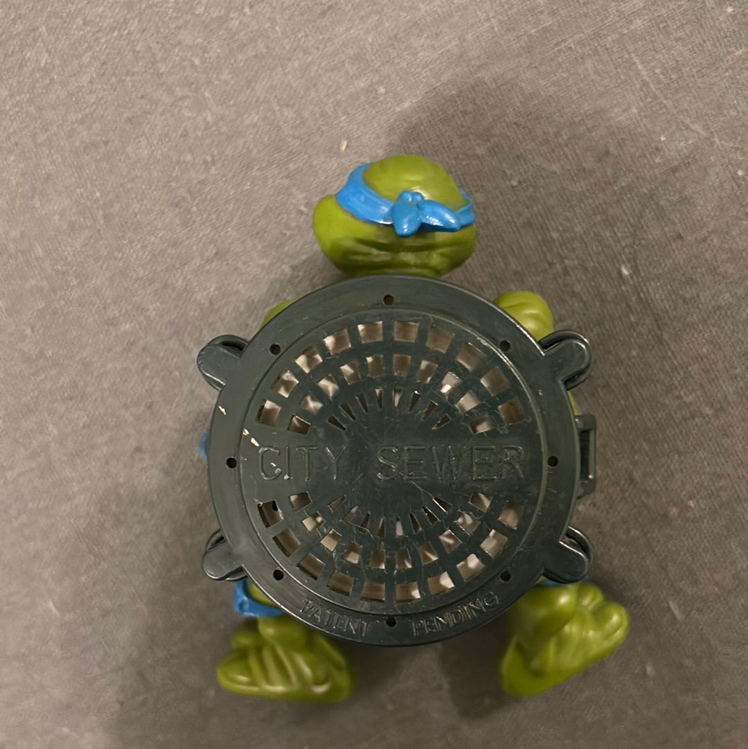 Teenage Mutant Ninja Turtles sewer shell talking turtles