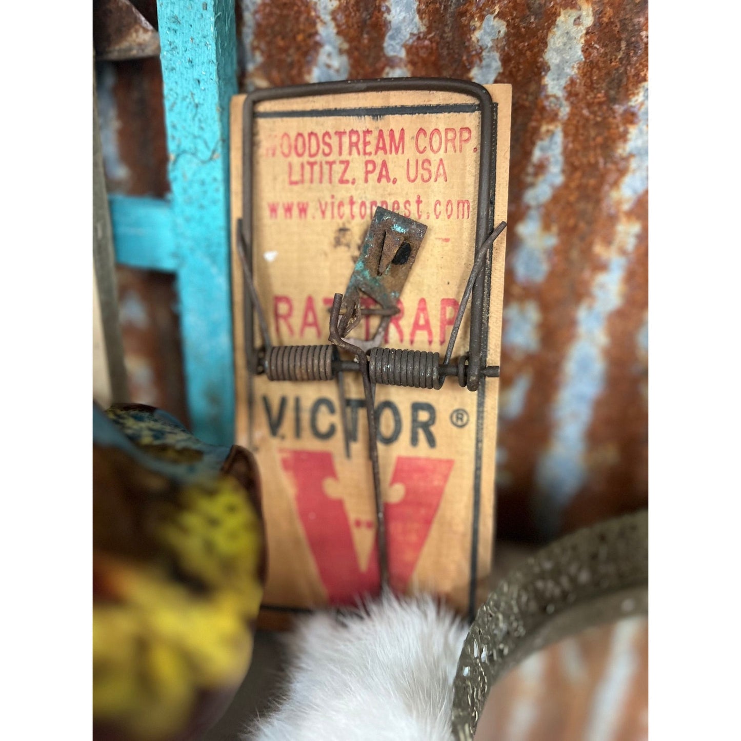 Vintage rat trap, mouse trap, works