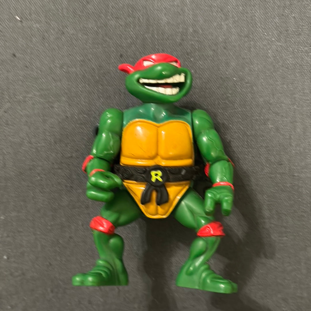 Teenage Mutant Ninja Turtles sewer shell talking turtles