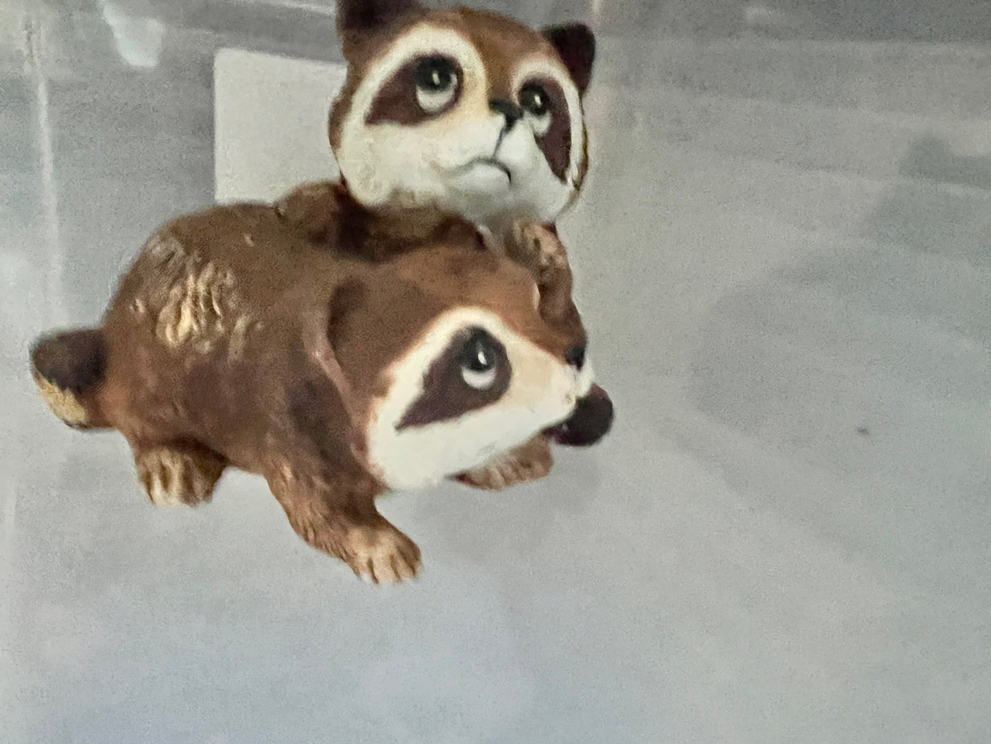 Homeco vintage Raccoons